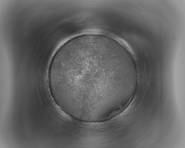 X0000112021192200908171424