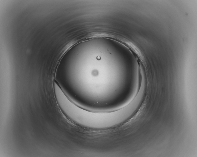 X0000112021193200908171424