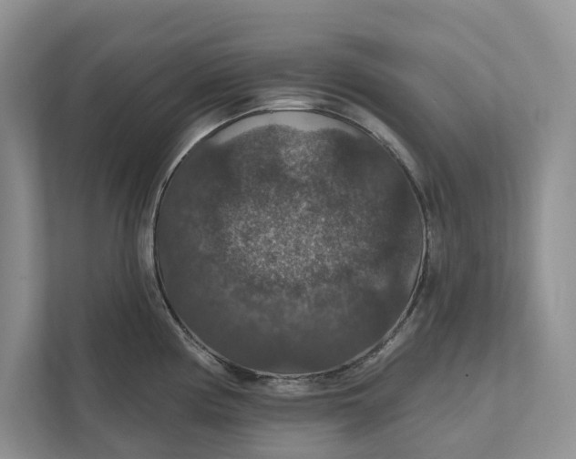 X0000112021194200908171424