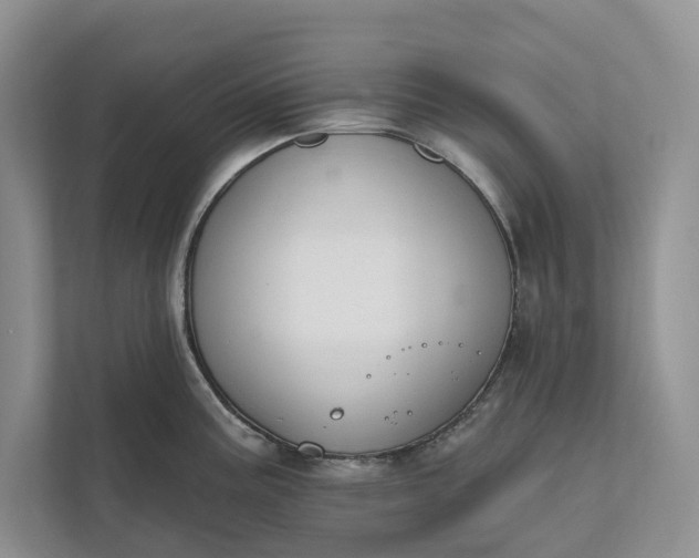 X0000112021195200908171424