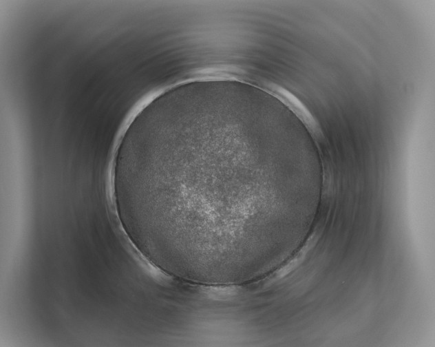 X0000112021196200908171424