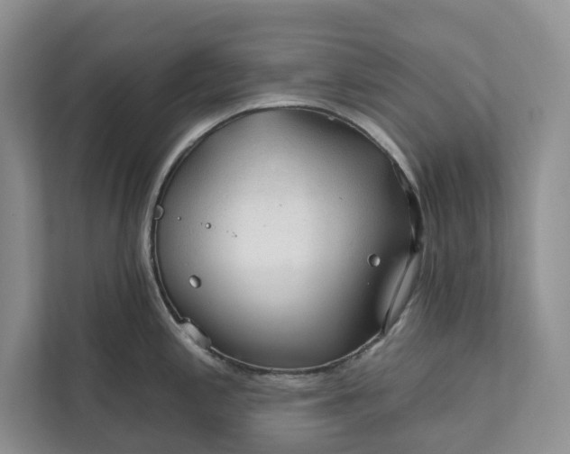 X0000112021197200908171424