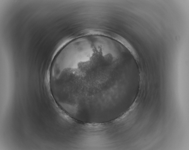 X0000112021198200908171424