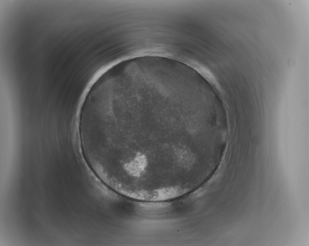 X0000112021200200908171423