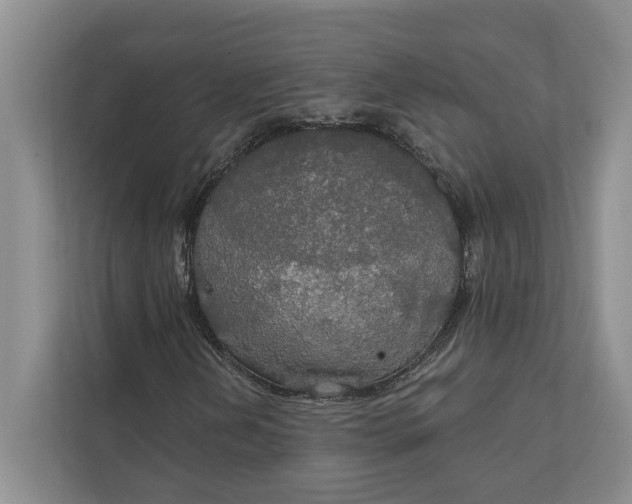 X0000112021202200908171423