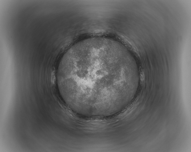 X0000112021204200908171423