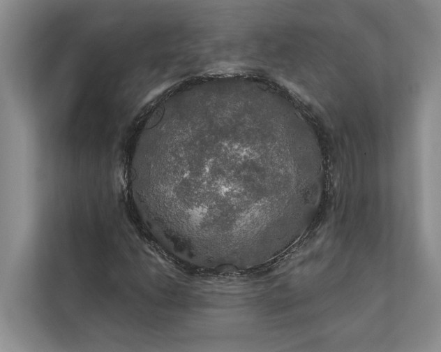 X0000112021206200908171423