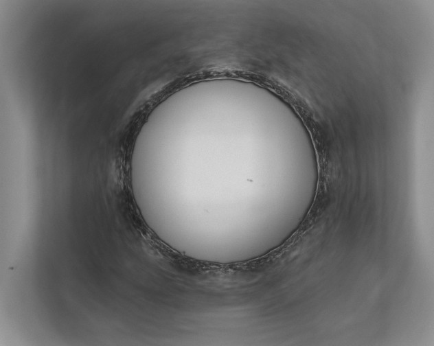 X0000112021207200908171423