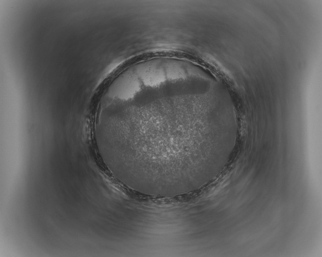 X0000112021208200908171423