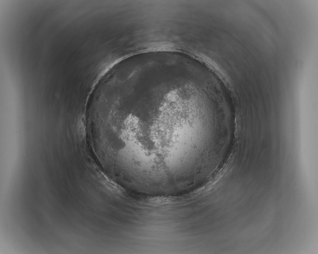 X0000112021212200908171423