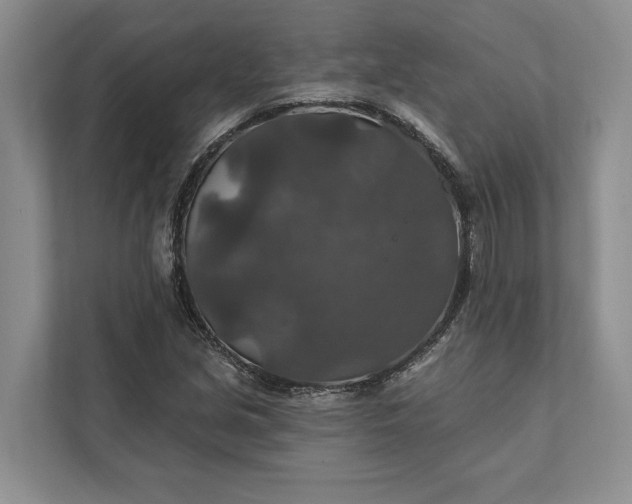 X0000112021213200908171423