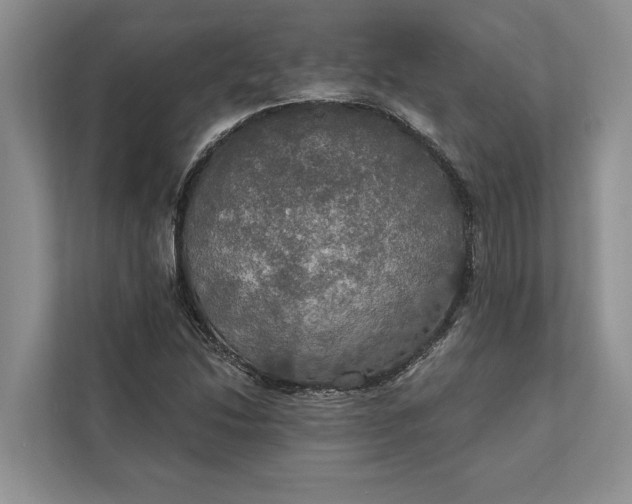 X0000112021214200908171423