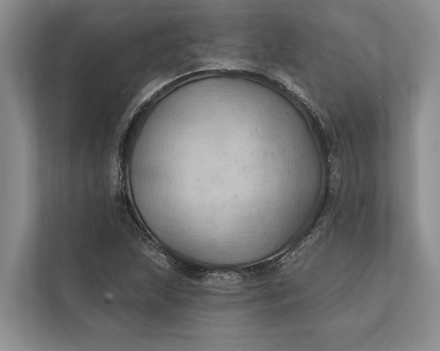 X0000112021215200908171423