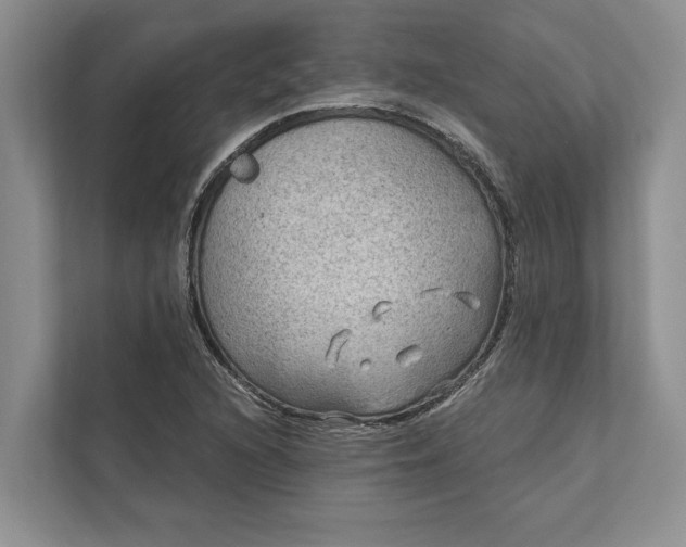 X0000112021216200908171423