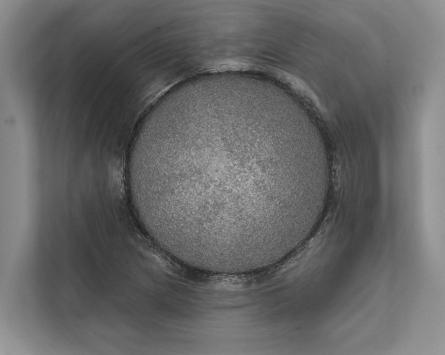 X0000112021217200908171423