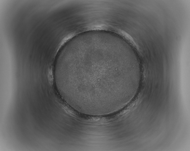 X0000112021218200908171423