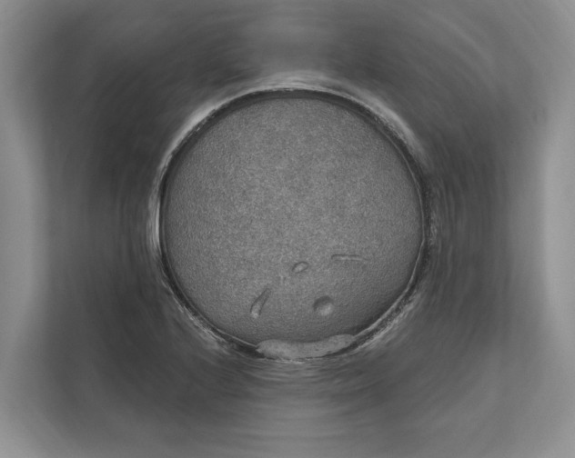 X0000112021224200908171423