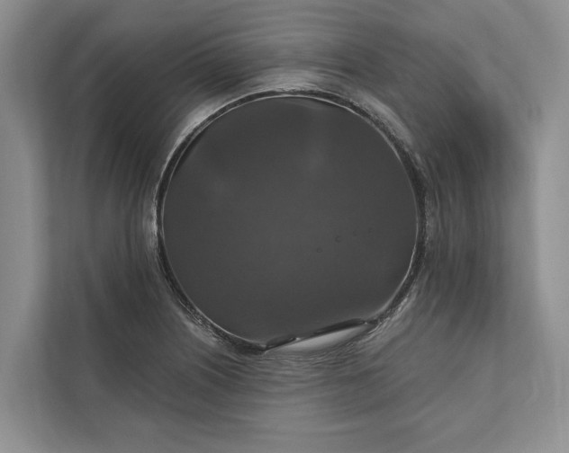 X0000112021226200908171423