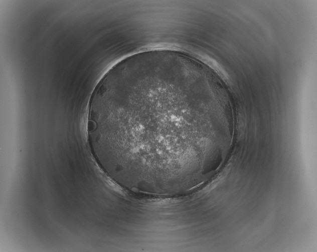 X0000112021228200908171423