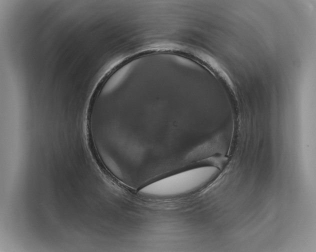 X0000112021229200908171423