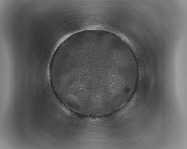 X0000112021230200908171423