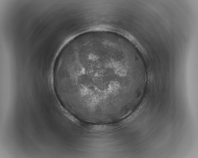 X0000112021232200908171423