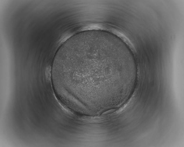 X0000112021233200908171423