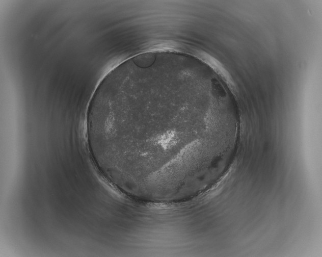 X0000112021234200908171423