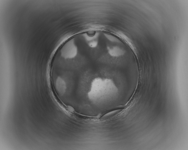 X0000112021235200908171423