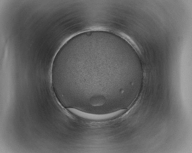 X0000112021236200908171423