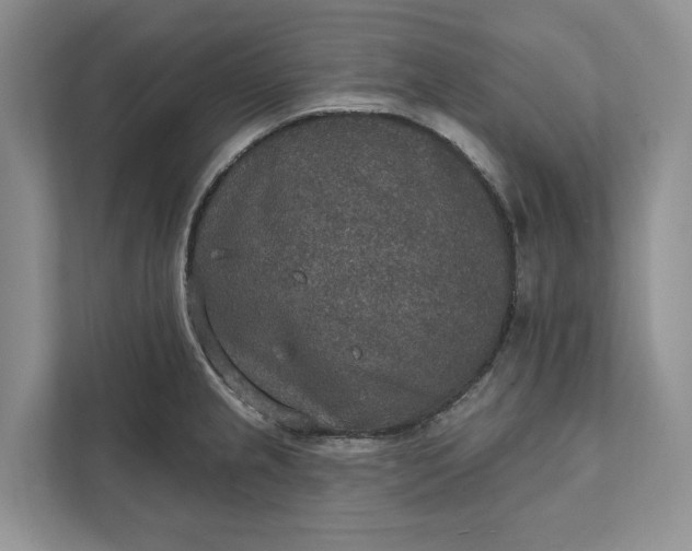 X0000112021237200908171423