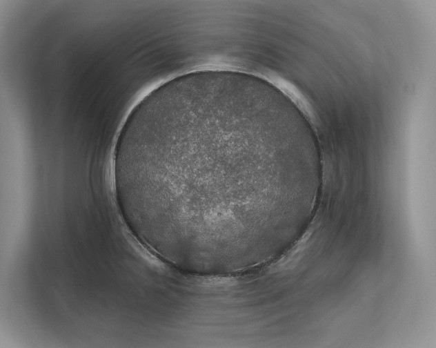 X0000112021238200908171423