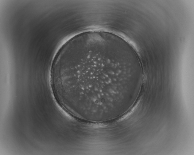 X0000112021239200908171423