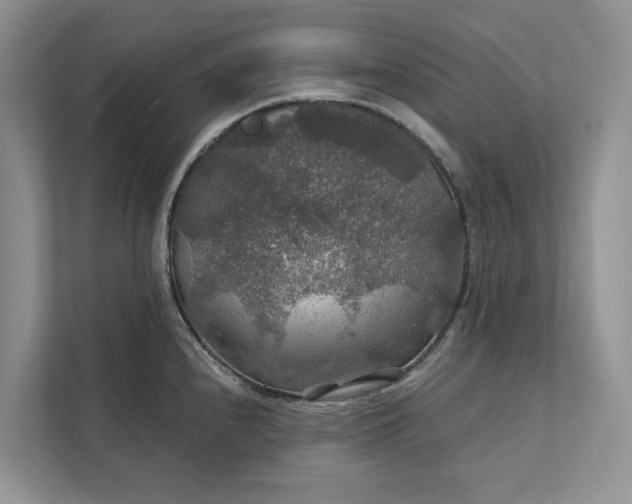 X0000112021240200908171423