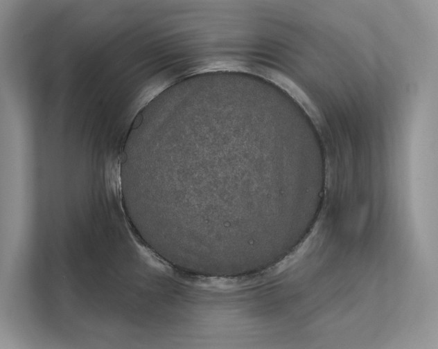 X0000112021241200908171423