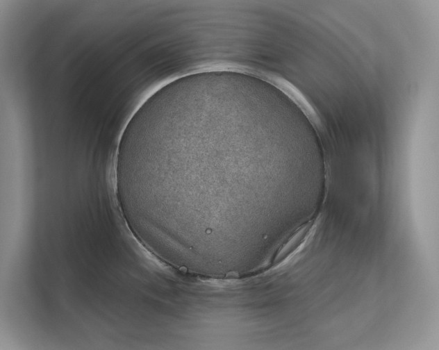 X0000112021244200908171423