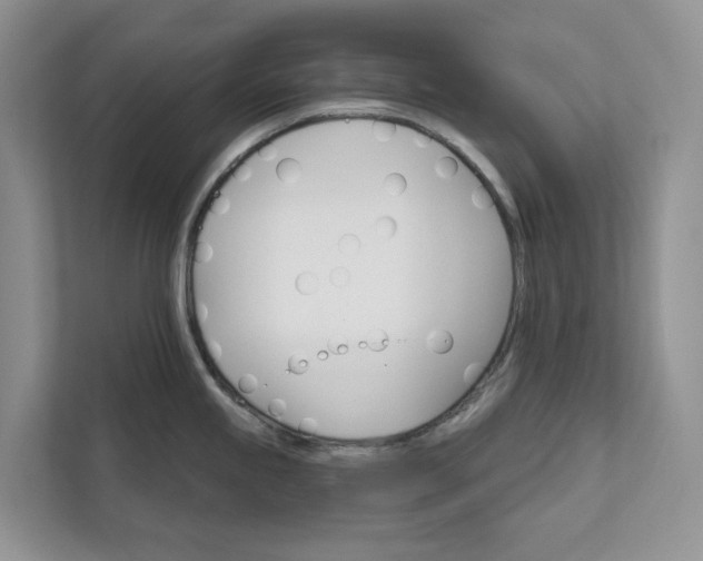 X0000112021245200908171423