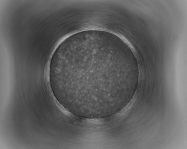 X0000112021246200908171423