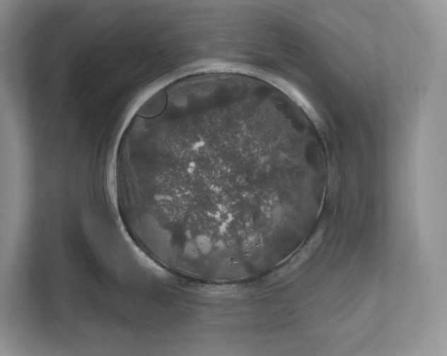 X0000112021247200908171423