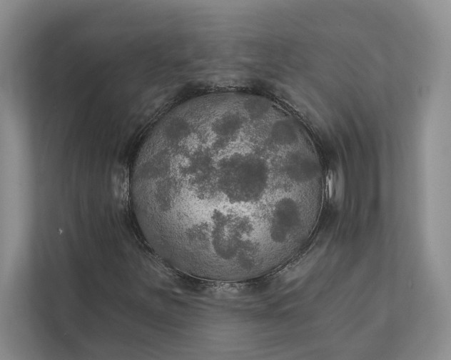 X0000112021251200908171423