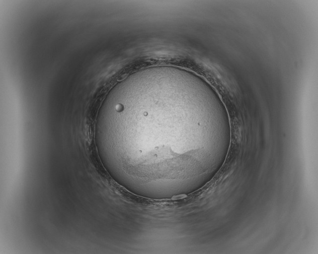 X0000112021253200908171423