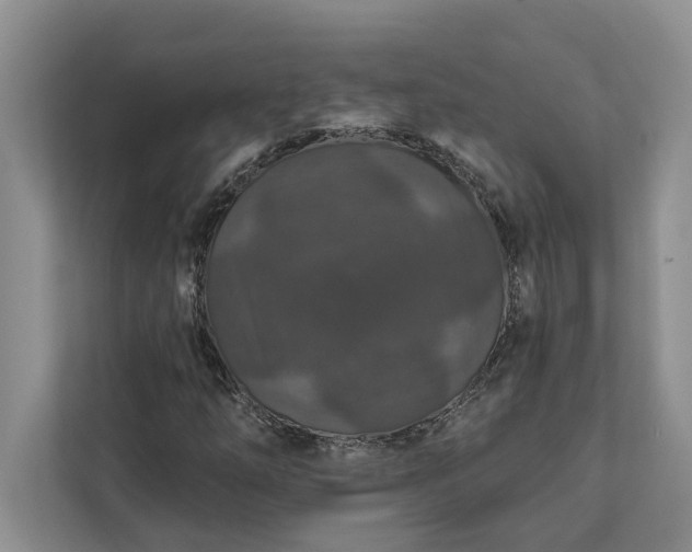 X0000112021254200908171423