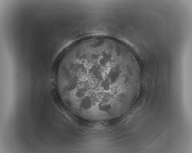 X0000112021255200908171423