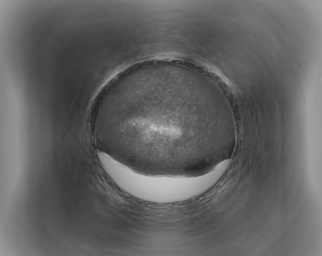 X0000112021256200908171423