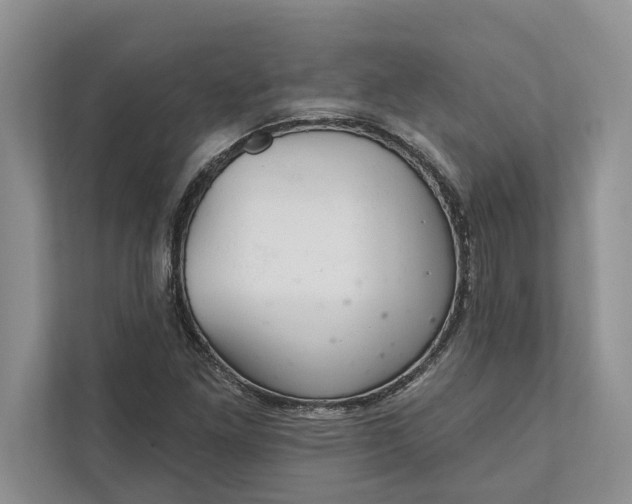 X0000112021261200908171423