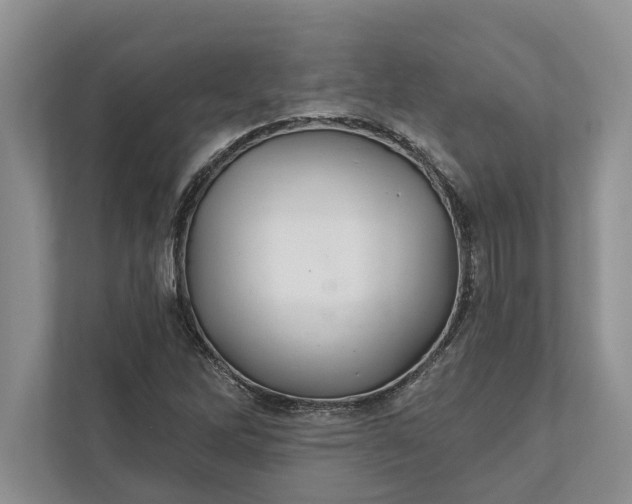 X0000112021262200908171423