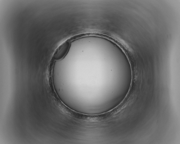 X0000112021264200908171423