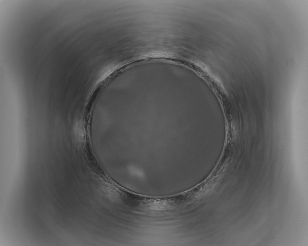 X0000112021266200908171423