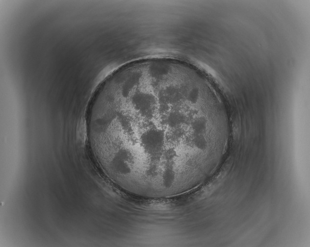 X0000112021267200908171423