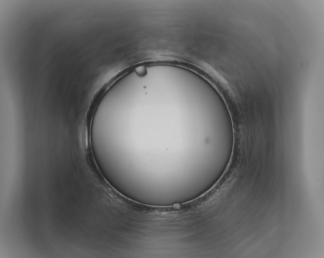 X0000112021269200908171423